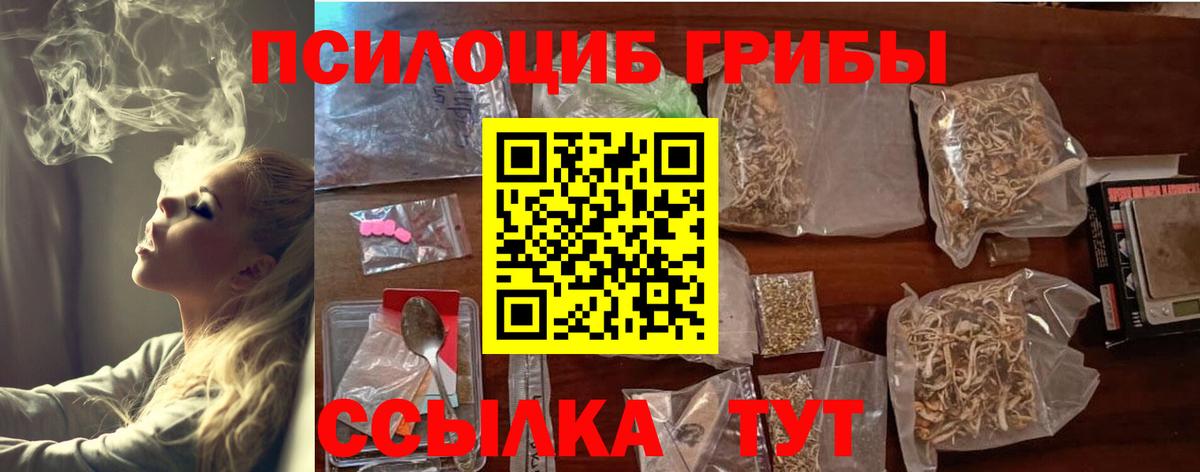 Галлюциногенные грибы Cubensis  Вход с VPN  Рассказово 